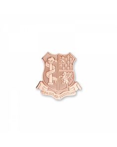 Lapel Pin Die Struck (Up to 0.5")