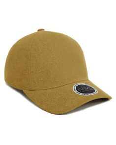 INIVI ENZYME 2 PANEL CAP. IV160